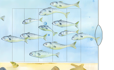 Carte vivante "Boîte à poisson"