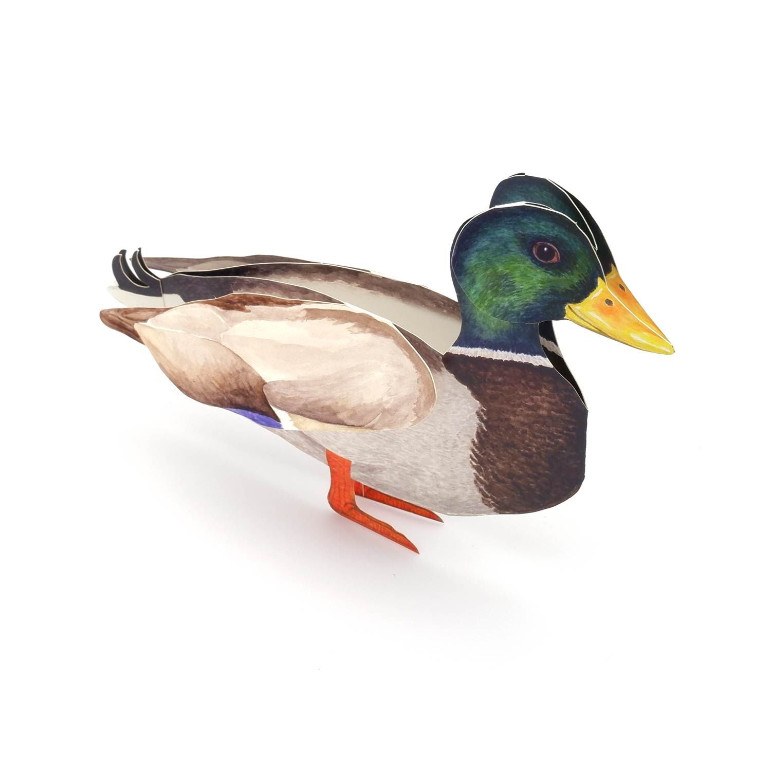 3D Tierfaltkarte "Stockente"