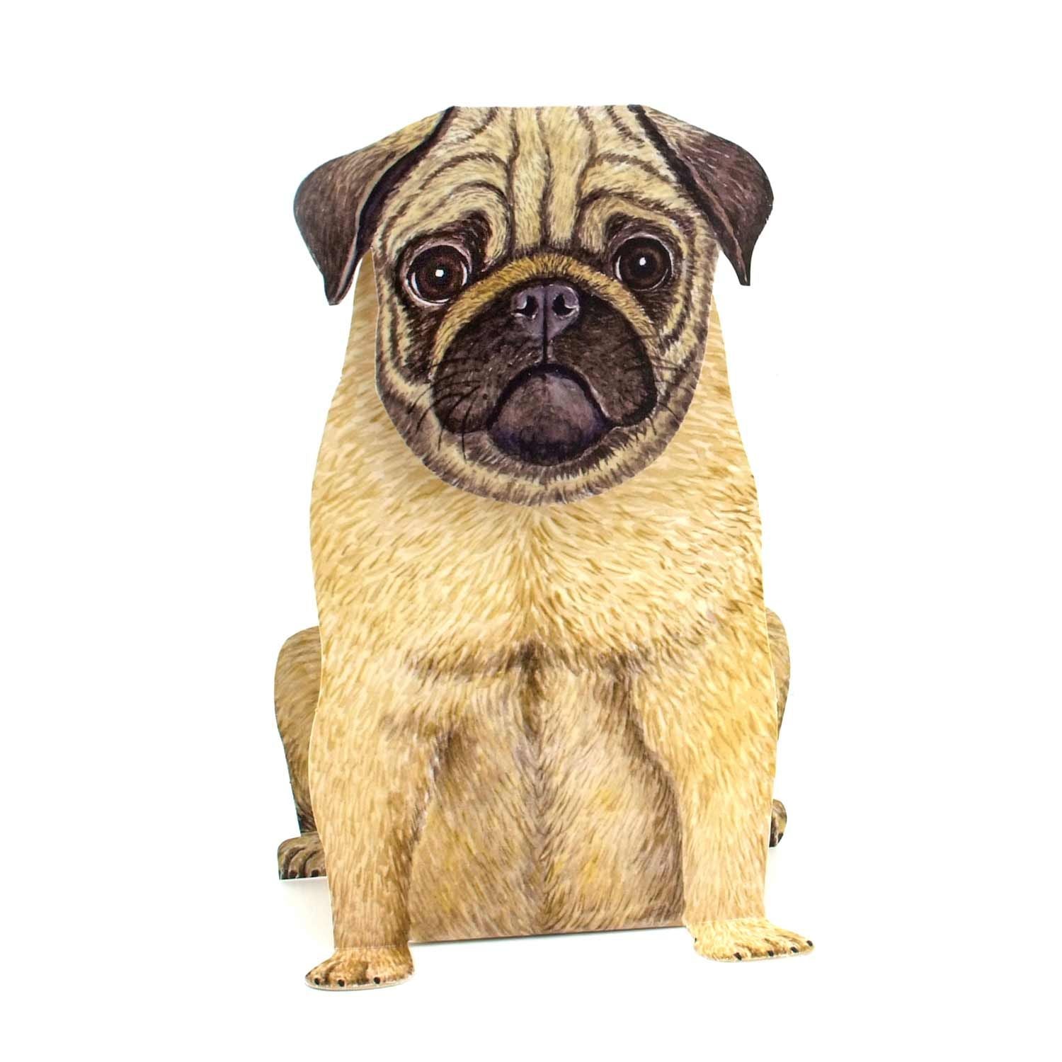 3D animal folding card "Pug"