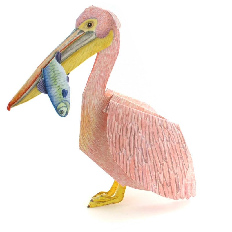Carte pliante animal 3D "Pélican"