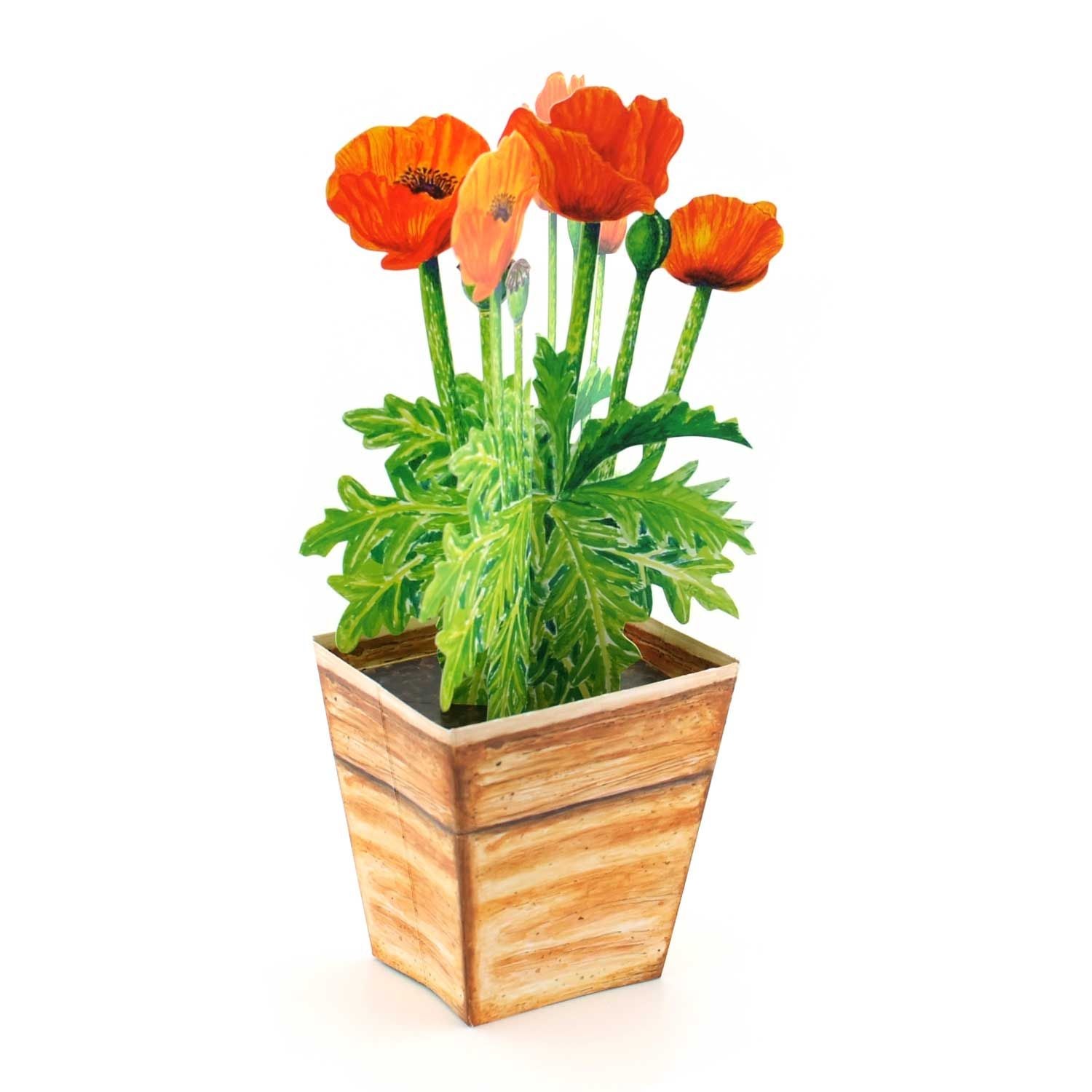 3D-Blumentopfkarte "Mohnblume"