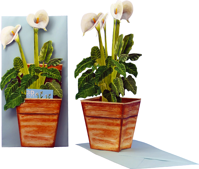 3D flower pot card "Kalla"