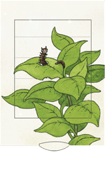Carte vivante "Papillon"